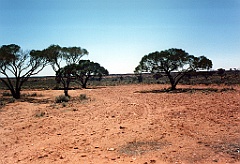 2000 - Australie 133G